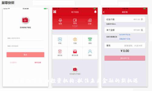 迪拜数字货币投资机构：抓住未来金融的新机遇