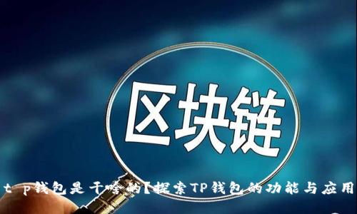 t p钱包是干啥的?探索TP钱包的功能与应用