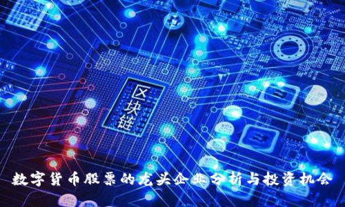 数字货币股票的龙头企业分析与投资机会