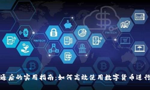 数字货币开通后的实用指南:如何高效使用数字货币进行交易与投资