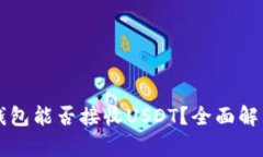 以太坊钱包能否接收USDT？全面解析与