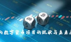 国内数字货币项目的现状与未来展望