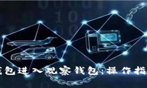 如何通过TP钱包进入观察钱包:操作指南与注意事项