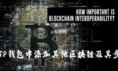 如何在TP钱包中添加其他区块链及其步骤详解