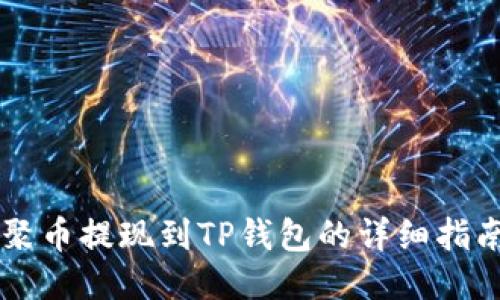 聚币提现到TP钱包的详细指南