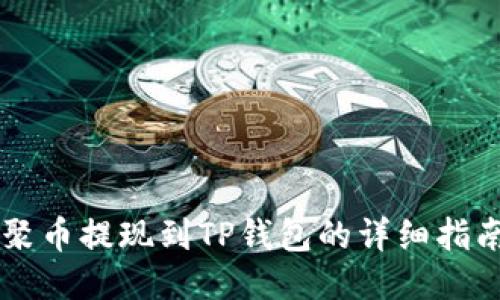 聚币提现到TP钱包的详细指南
