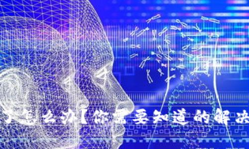 TP钱包的钱消失了怎么办?你需要知道的解决方案和预防措施