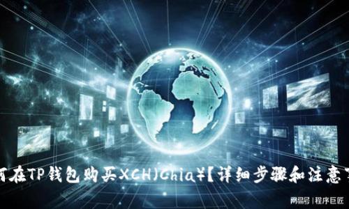 如何在TP钱包购买XCH（Chia）？详细步骤和注意事项
