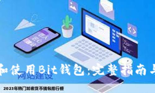 如何下载和使用Bit钱包：完整指南与最佳实践