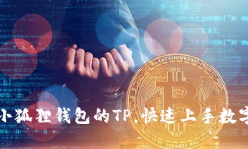 如何导入小狐狸钱包的TP,快速上手数字资产管理