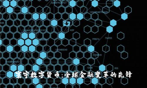 寰宇数字货币:全球金融变革的先锋