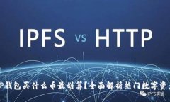 TP钱包买什么币最划算？全面解析热门