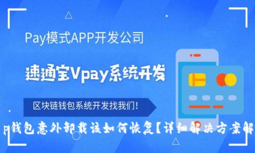 t p钱包意外卸载该如何恢复?详细解决方案解析