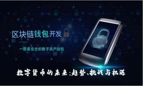 数字货币的未来:趋势、挑战与机遇