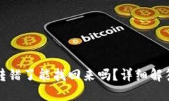 TP钱包转账转错了能找回来吗？详细解