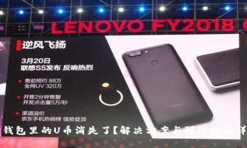 TP钱包里的U币消失了?解决方案与预防措施详解