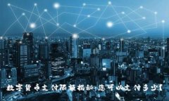 数字货币支付限额揭秘：您可以支付多