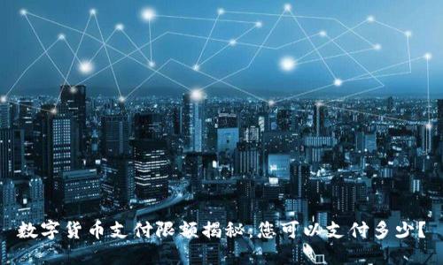 数字货币支付限额揭秘:您可以支付多少?