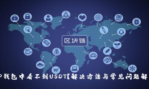 TP钱包中看不到USDT?解决方法与常见问题解析
