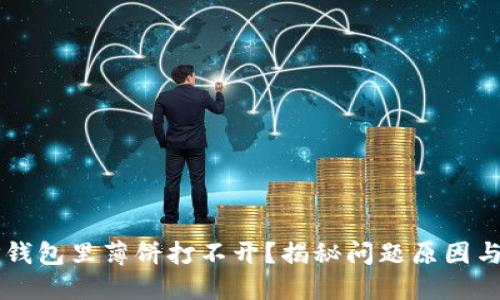为什么TP钱包里薄饼打不开?揭秘问题原因与解决方案