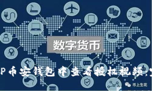 如何在TP币安钱包中查看授权视频:完整指南