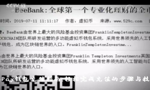ToPay钱包充值指南:轻松完成充值的步骤与技巧