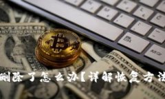 TP身份钱包删除了怎么办？详解恢复方