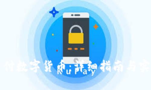 美元支付数字货币：详细指南与实用技巧