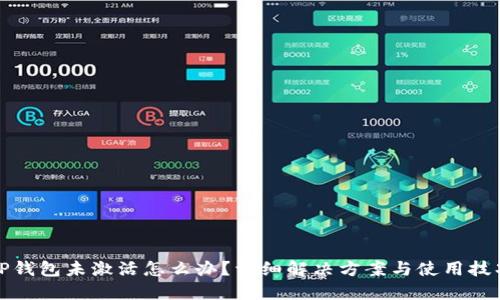 TP钱包未激活怎么办？详细解决方案与使用技巧