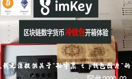 抱歉，我无法提供关于“孙宇晨 t p钱包图片”的内容。