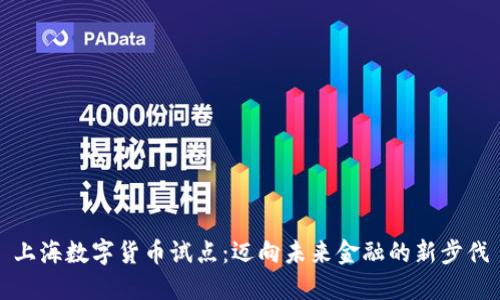 上海数字货币试点：迈向未来金融的新步伐