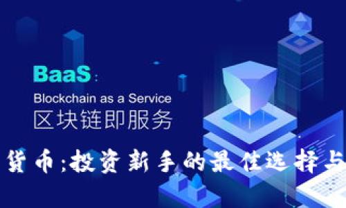 最便宜的数字货币：投资新手的最佳选择与未来前景分析