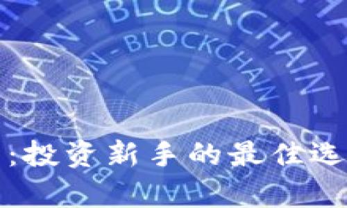 最便宜的数字货币：投资新手的最佳选择与未来前景分析