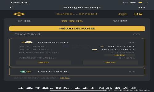 全面了解e钱包：未来支付的新方式