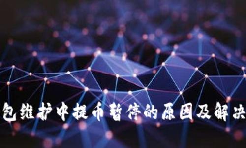 TP钱包维护中提币暂停的原因及解决方案