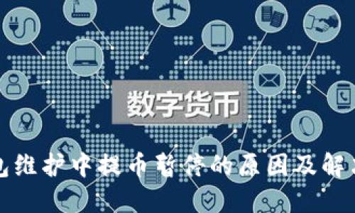 TP钱包维护中提币暂停的原因及解决方案