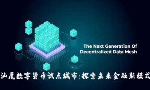 汕尾数字货币试点城市：探索未来金融新模式