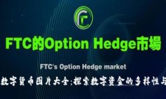 罗湖数字货币图片大全：探索数字资金
