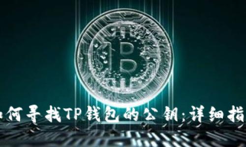 如何寻找TP钱包的公钥:详细指南