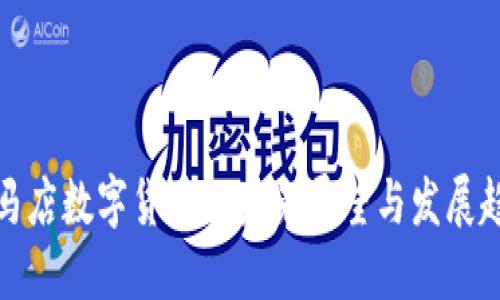 驻马店数字货币的未来展望与发展趋势