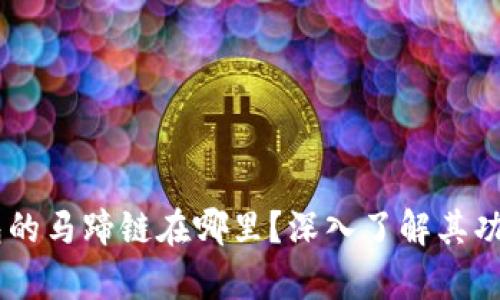 tape钱包的马蹄链在哪里？深入了解其功能及应用