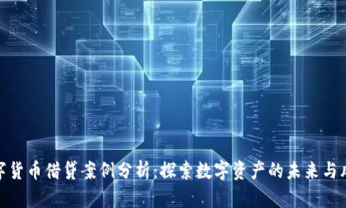 数字货币借贷案例分析：探索数字资产的未来与风险