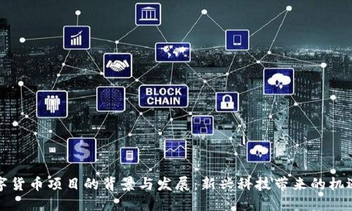揭示数字货币项目的背景与发展：新兴科技带来的机遇与挑战