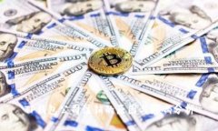 TP钱包公司注销的原因与影响分析