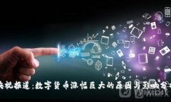 央视报道：数字货币涨幅巨大的原因与
