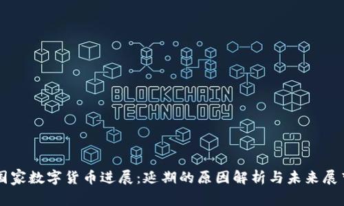 国家数字货币进展:延期的原因解析与未来展望