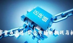 数字货币竞速：新兴市场的挑战与机遇