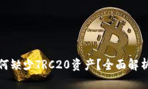 TP钱包中为何缺少TRC20资产?全面解析与解决方案