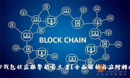 TP钱包被盗报警能否立案?全面解析与应对措施