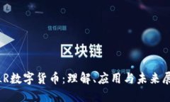 MLR数字货币：理解、应用与未来展望
